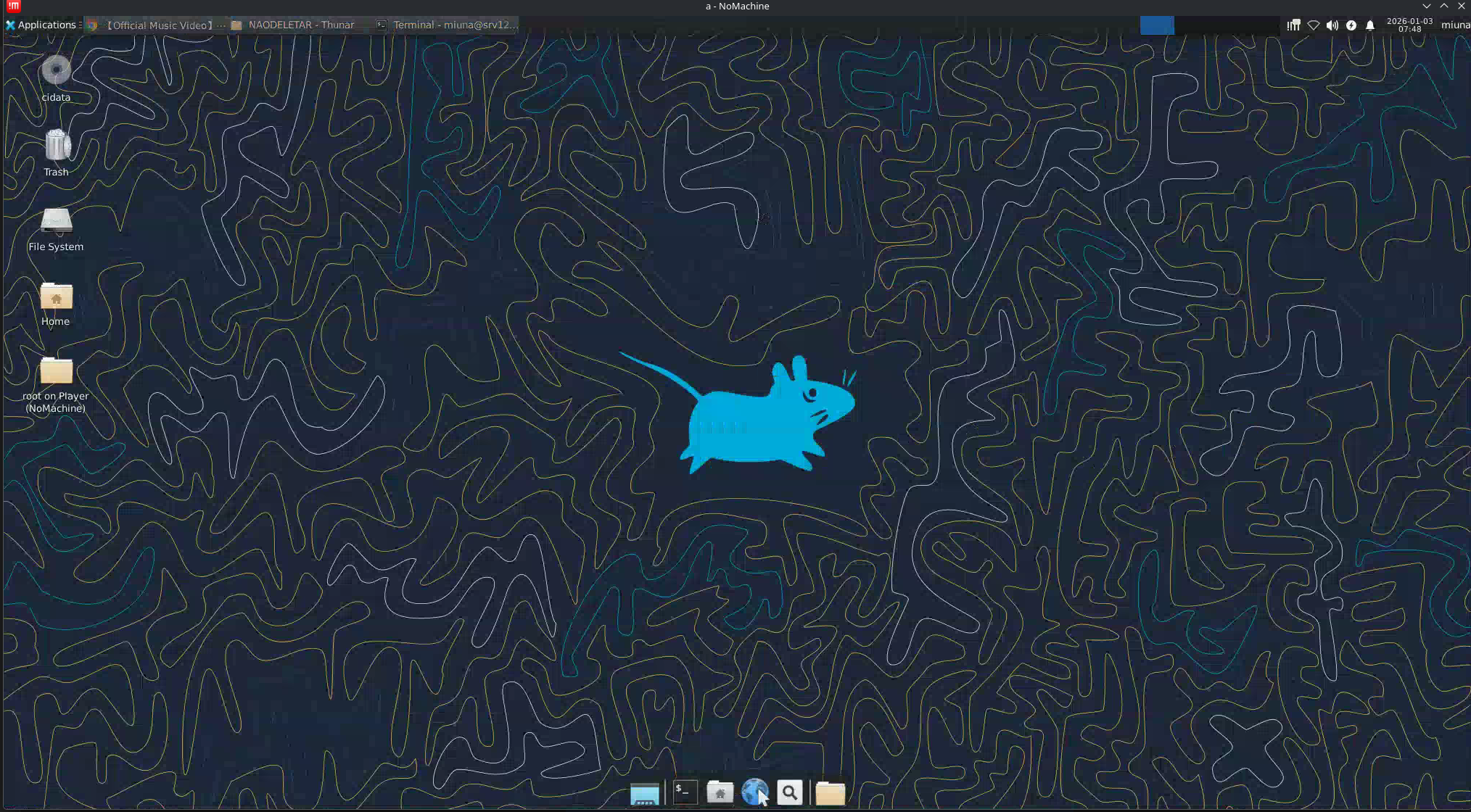 Interface de conexão do NoMachine