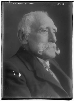 Henry Wickham, o inglês que contrabandeou sementes de seringueira do Brasil